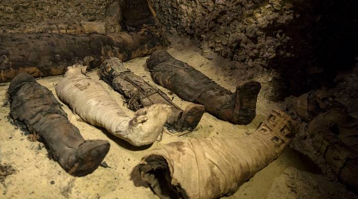 В Египте обнаружили «целый музей» мумий 