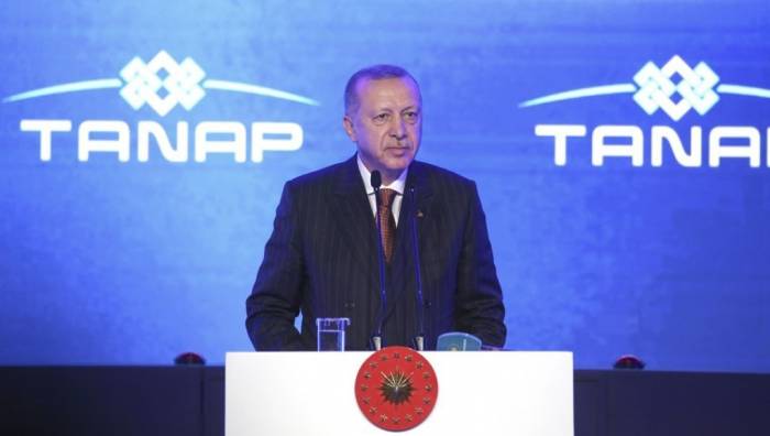 Президент Турции: TANAP является символом многовековой дружбы между нашими странами