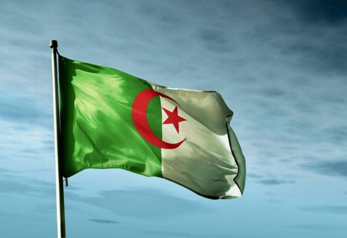 В Алжире заявили, что резолюция Европарламента нацелена на срыв президентских выборов
