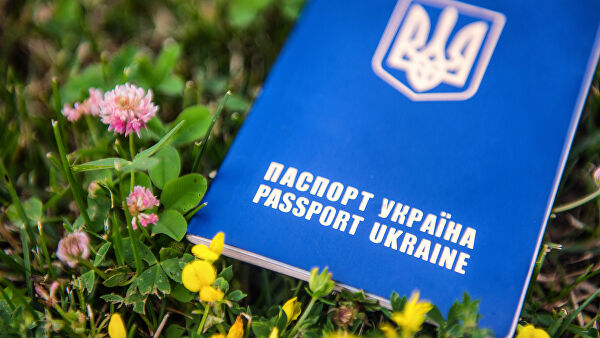 Власти Украины планируют ввести двойное гражданство
