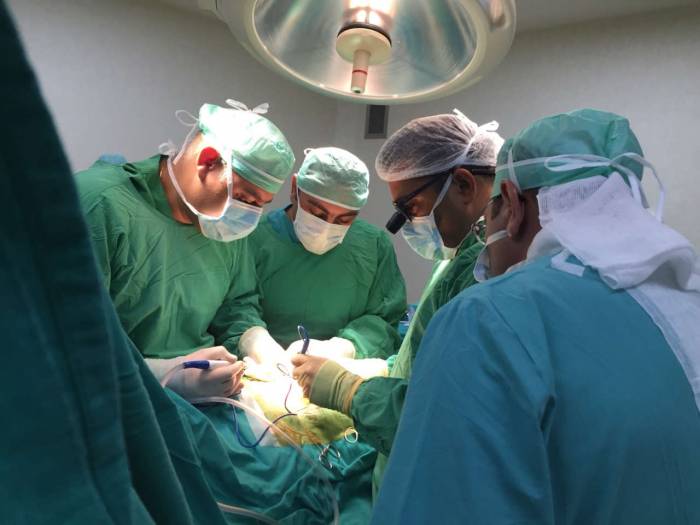В Австрии провели успешную операцию по пересадке мертвого сердца живому пациенту
