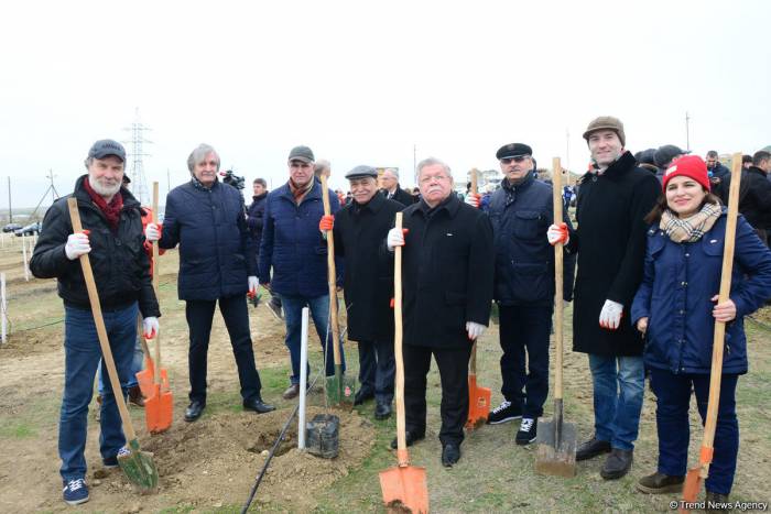 Фирдовси Алиев: Число посаженных сегодня деревьев превысило 650 тысяч