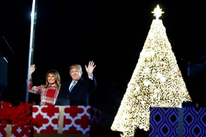 Дональд и Меланья Трамп зажгли рождественскую ель у Белого дома
