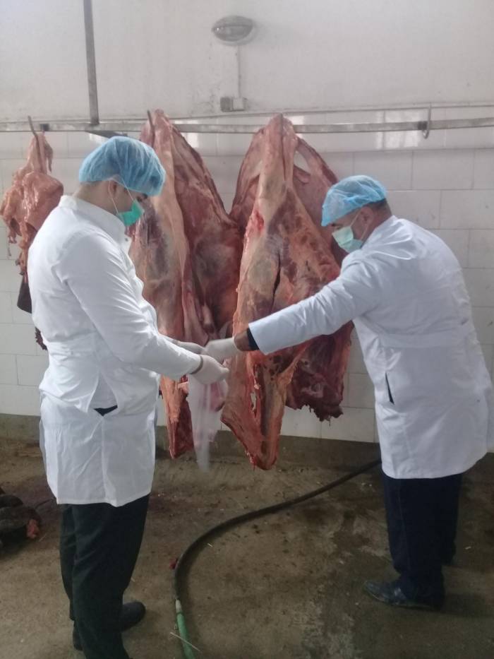 В Сумгайыте уничтожены сотни килограмм непригодной говядины - ФОТО
