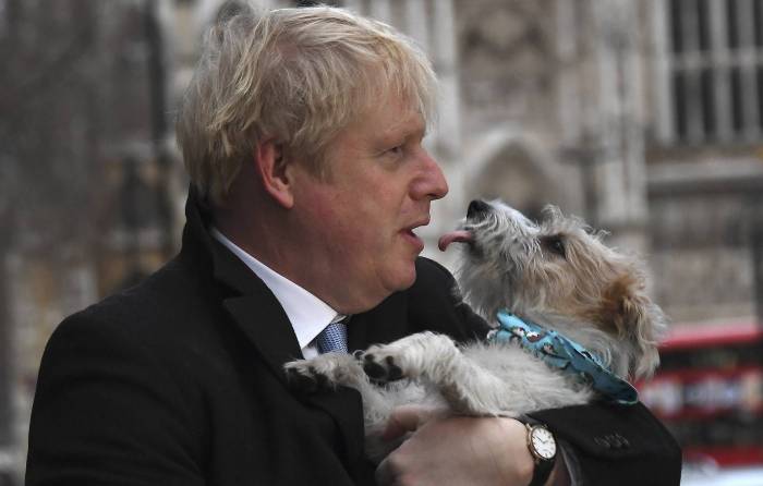 Британские политики делают на избирательных участках фото с собаками