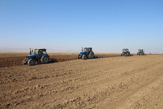 В Азербайджане свыше 270 тыс. фермеров заявило об осенних посевах
