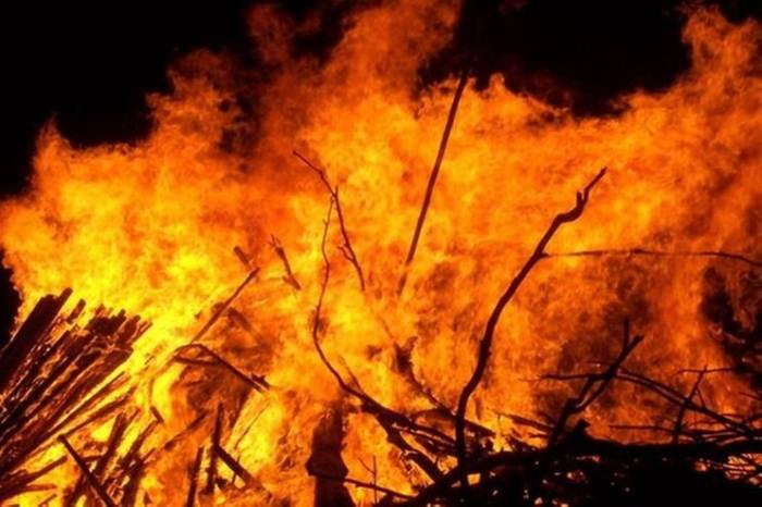Австралийский банк оценил прямые убытки страны от лесных пожаров
