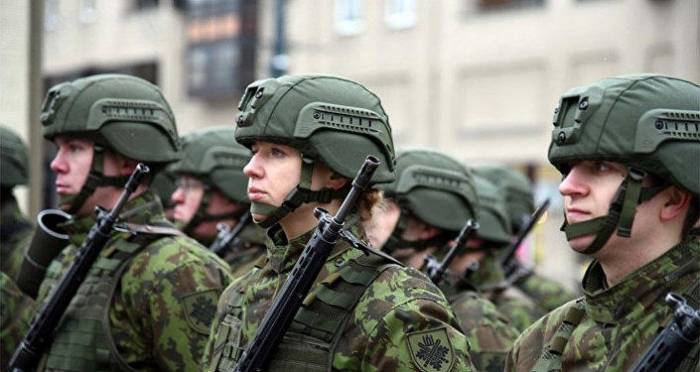Премьер Чехии сообщил об увеличении инвестиций в модернизацию армии

