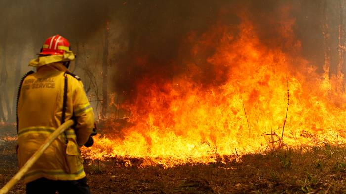 Комиссию по лесным пожарам создадут в Австралии
