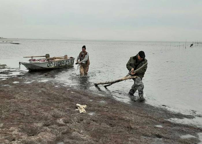 Минэкологии Азербайджана провело рейд в связи с запрещенными средствами рыбной ловли