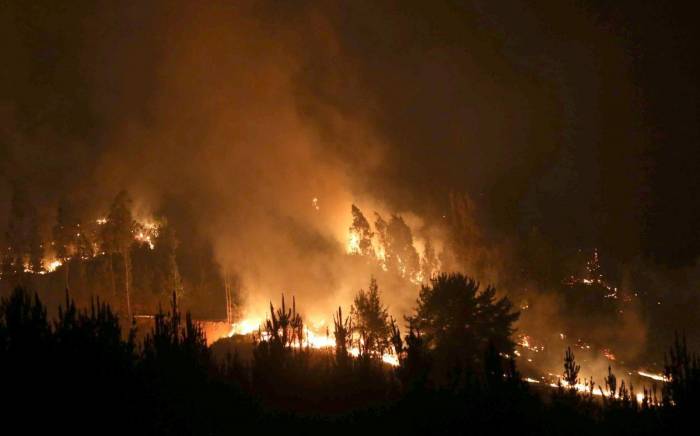 Малайзия предложила помощь Австралии в тушении лесных пожаров
