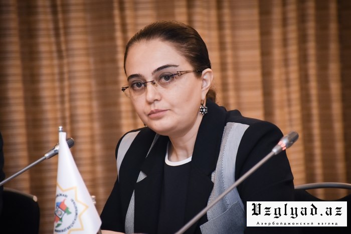 Заместитель завотдела АП: 2019 год запомнится в Азербайджане как год коренных реформ
