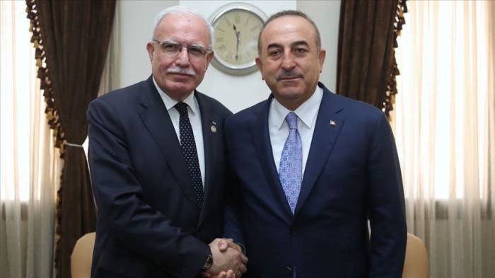 Главы МИД Турции и Палестины обсудили Ближний Восток
