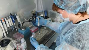 Ученые из девяти стран осудили слухи о происхождении коронавируса
