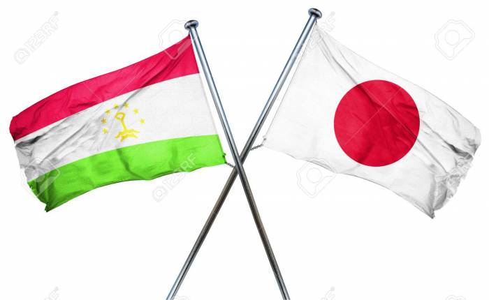 Япония выделит свыше $300 тыс. для реализации пяти проектов в Таджикистане
