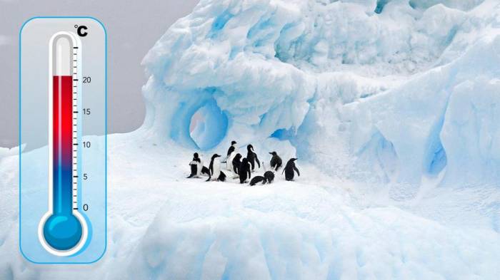 Эксперты прокомментировали повышение температуры в Антарктиде
