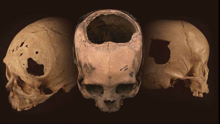 Возраст найденного в Греции черепа древнего человека оценили в 200 тыс. лет

