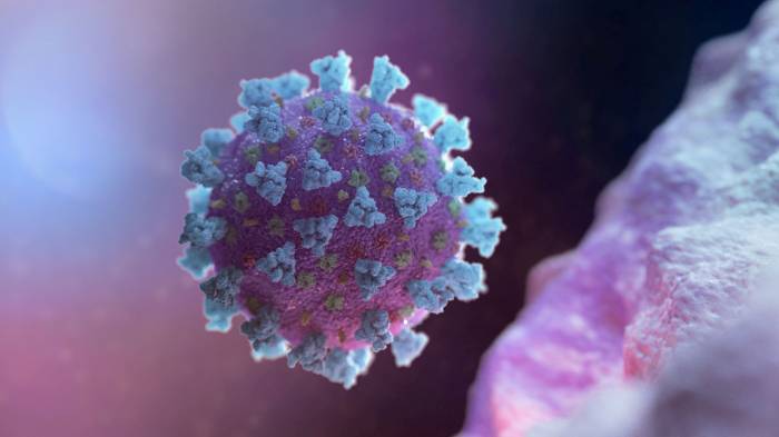 В Словакии зарегистрировали первый случай коронавируса
