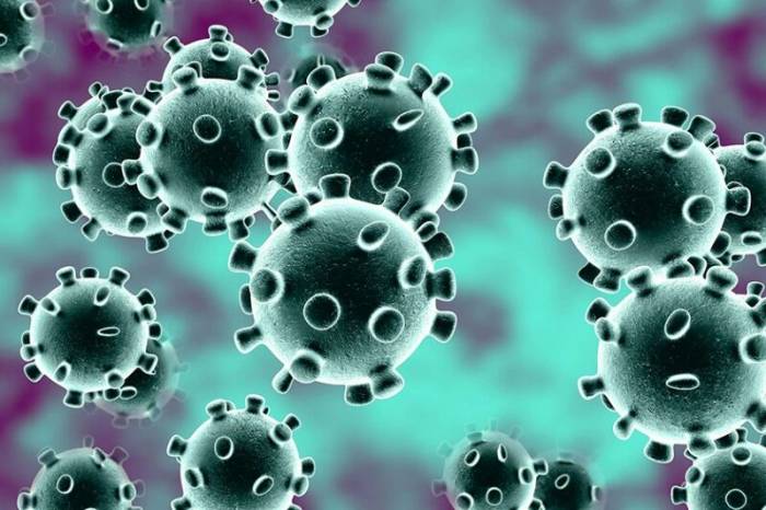 В Иране за сутки из-за коронавируса умерли почти 50 человек
