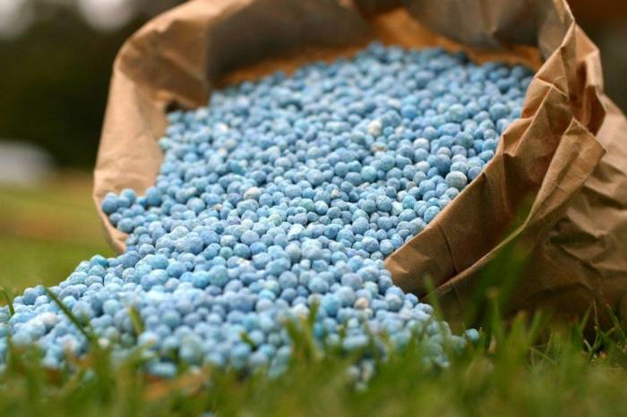 Рынок удобрений и пестицидов в Азербайджане полностью либерализован
