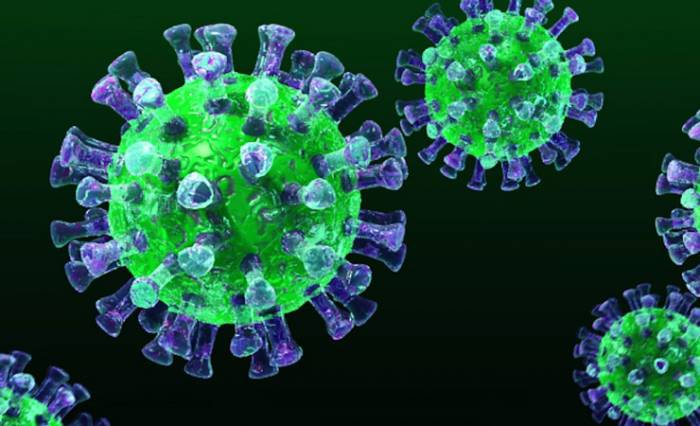 Ученые рассказали, при каком уровне влажности замедляется темп заражения коронавирусом