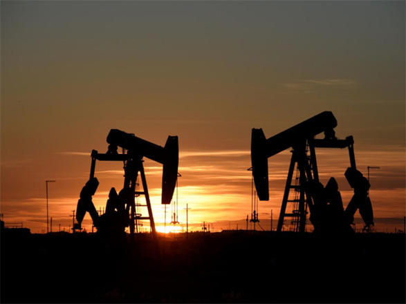 Цена на нефть марки Brent поднялась выше $22
