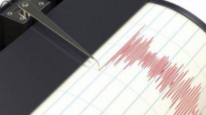 На юге Японии произошло землетрясение