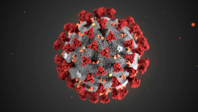 Ученые узнали, при какой температуре погибает коронавирус
