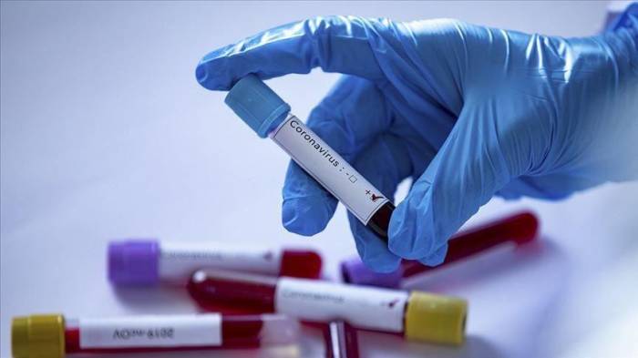 Узбекистан займет $1,6 млрд для устранения последствий коронавируса
