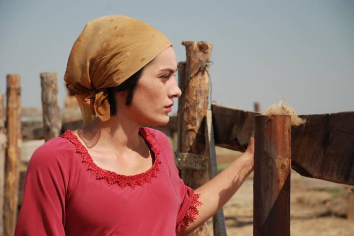 Азербайджанский фильм вошел в конкурсную программу онлайн-кинофестиваля в Чехии 