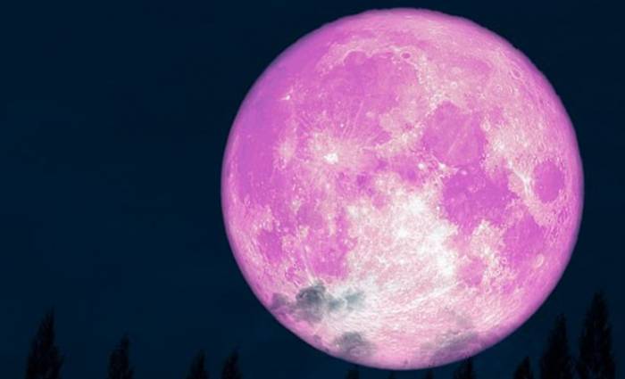 Розовая Луна 2020: сегодня ночью белорусы смогут наблюдать редкое явление в небе
