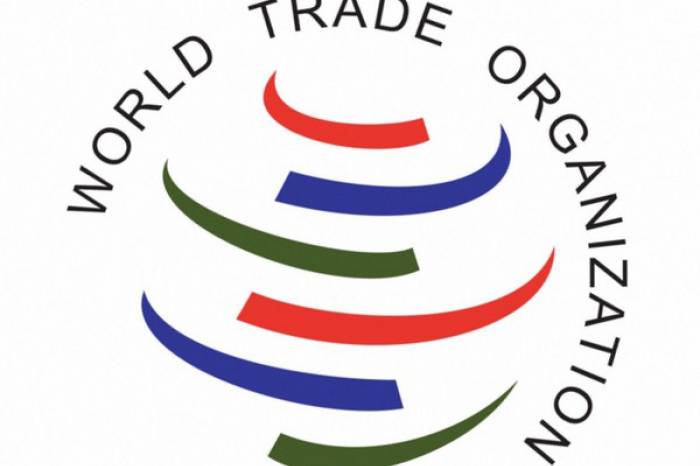 ВТО: Правительство Грузии заслужило всеобщую похвалу