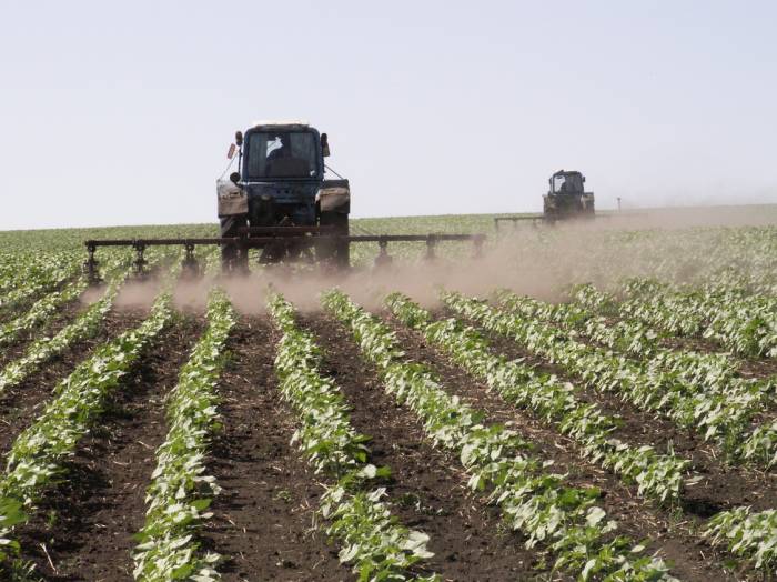 Социальная нагрузка работников сельского хозяйства в Азербайджане будет снижена
