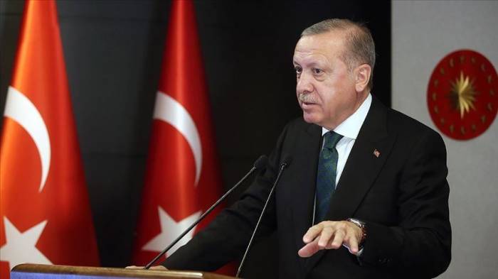 Эрдоган: TANAP – энергетический Шелковый путь
