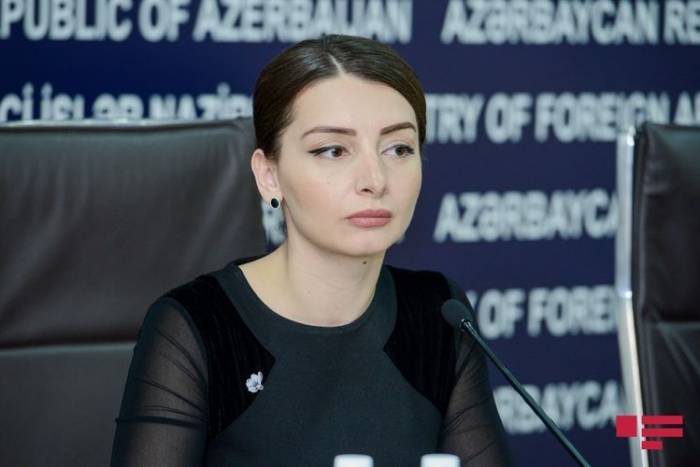 Лейла Абдуллаева прокомментировала высказывания главы МИД Армении