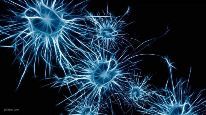 Австралийские ученые рассчитывают лечить болезнь Альцгеймера ультразвуком