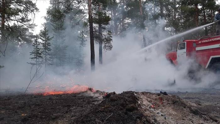 На востоке Казахстана локализирован лесной пожар
