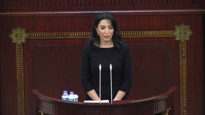 Омбудсмен представляет в Милли Меджлисе ежегодный доклад
