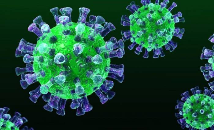 Чего боится коронавирус и когда пандемия пойдет на спад: последние данные ученых США
