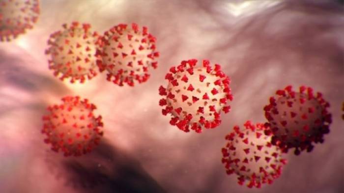 Ученые выяснили при какой температуре гибнет коронавирус