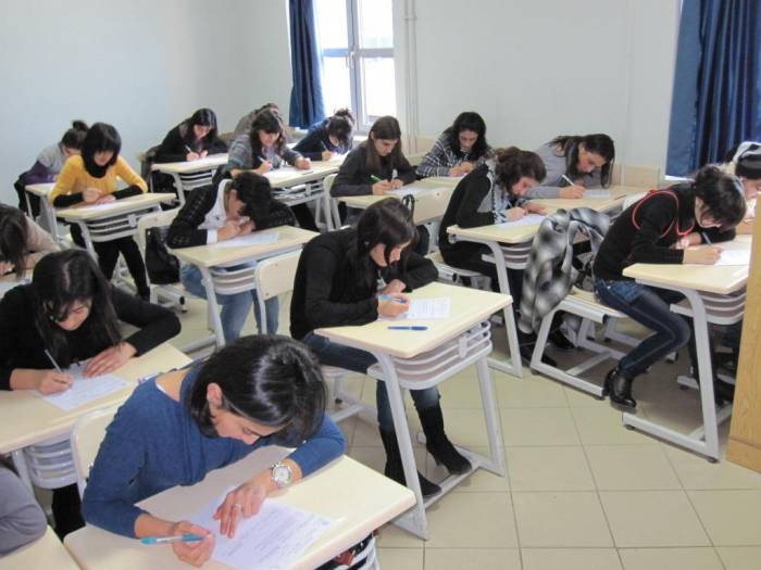В Азербайджане для помощи учащимся в выборе профессии будут проводиться диагностические тесты - минобразования
