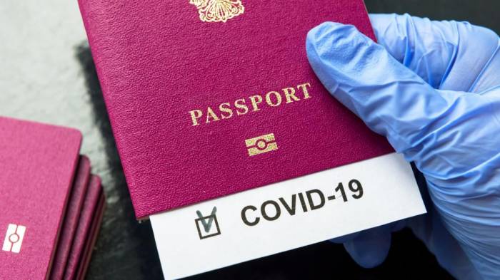 Паспорт COVİD-19 может быть применен в Азербайджане после возобновления авиаперелетов
