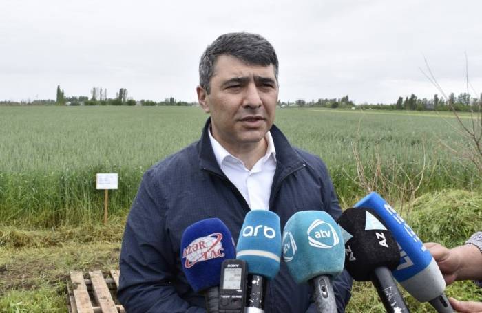 Инам Керимов: В перевозках продовольственных товаров в Азербайджане никаких проблем нет
