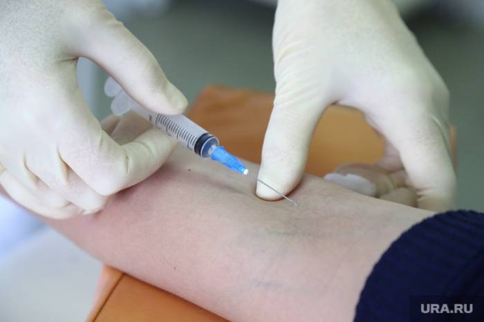 Названы сроки массовой вакцинации от коронавируса в России
