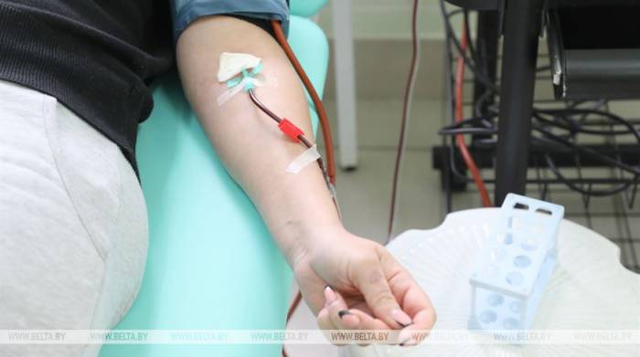 В Белапуси планируют начать заготовку плазмы крови вылечившихся от COVID-19 