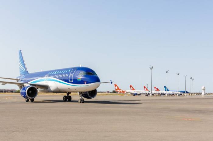 Чартерным рейсом из Москвы в Баку возвращены 175 граждан Азербайджана - ФОТО