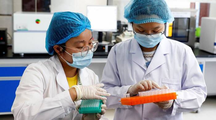 В Китае открыли новый штамм свиного гриппа, способный вызвать пандемию
