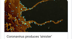 Американские ученые рассказали о «зловещих щупальцах» коронавируса