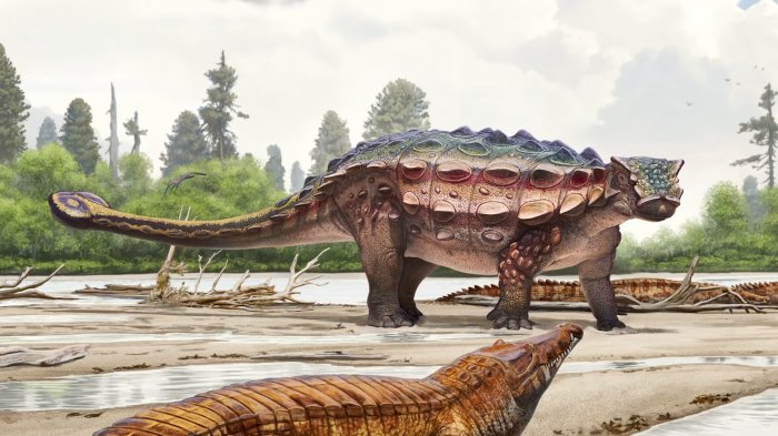 Аргентинские палеонтологи открыли новый вид динозавра с похожими на крылья лапами