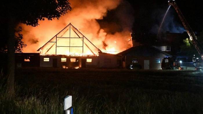 Около 400 свиней погибли в Германии при пожаре на ферме